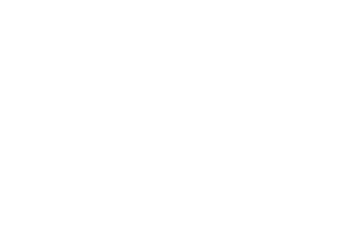 D Irty Dancing Logo WHITE