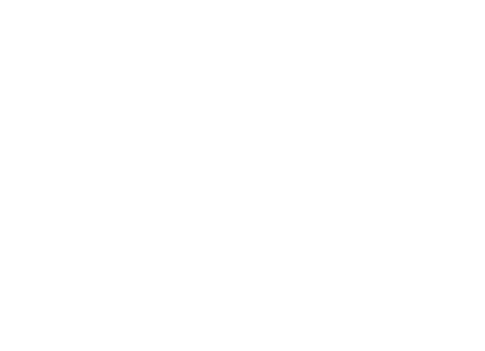 DSF logo Hvid